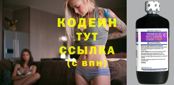 ГАЛЛЮЦИНОГЕННЫЕ ГРИБЫ Кулебаки