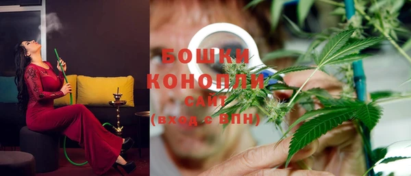 крисы Куйбышев