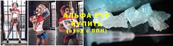 крисы Куйбышев