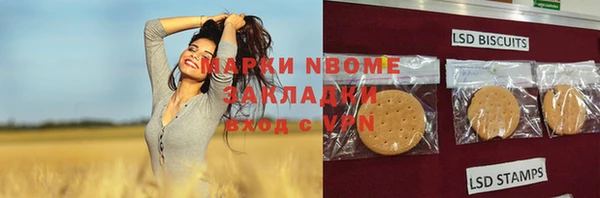 ГАЛЛЮЦИНОГЕННЫЕ ГРИБЫ Кулебаки