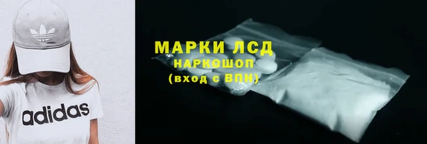 шишки Краснотурьинск