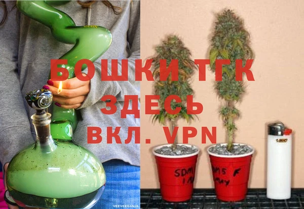 ГАЛЛЮЦИНОГЕННЫЕ ГРИБЫ Кулебаки