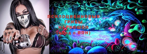 ПСИЛОЦИБИНОВЫЕ ГРИБЫ Кукмор