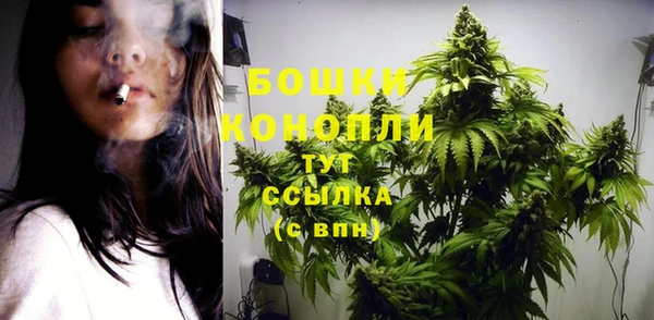 ПСИЛОЦИБИНОВЫЕ ГРИБЫ Кукмор