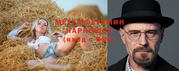 индика Магас