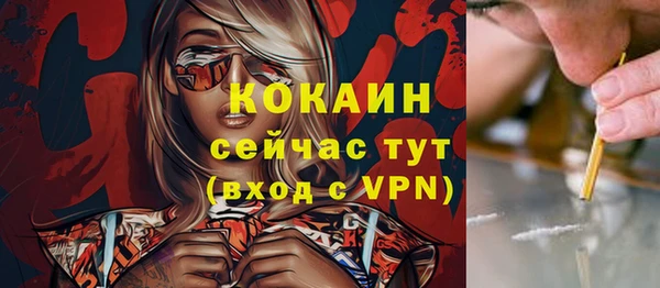 крисы Куйбышев