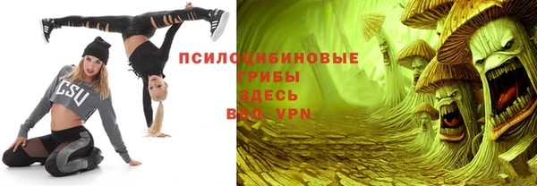 ГАЛЛЮЦИНОГЕННЫЕ ГРИБЫ Кулебаки