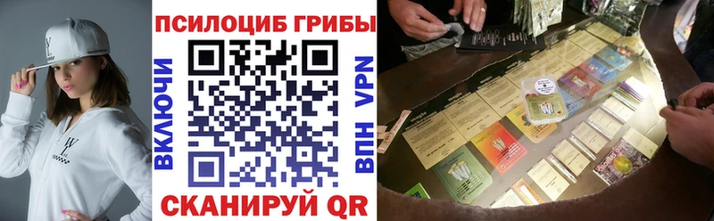 Галлюциногенные грибы Psilocybe  дарнет шоп  Чухлома 